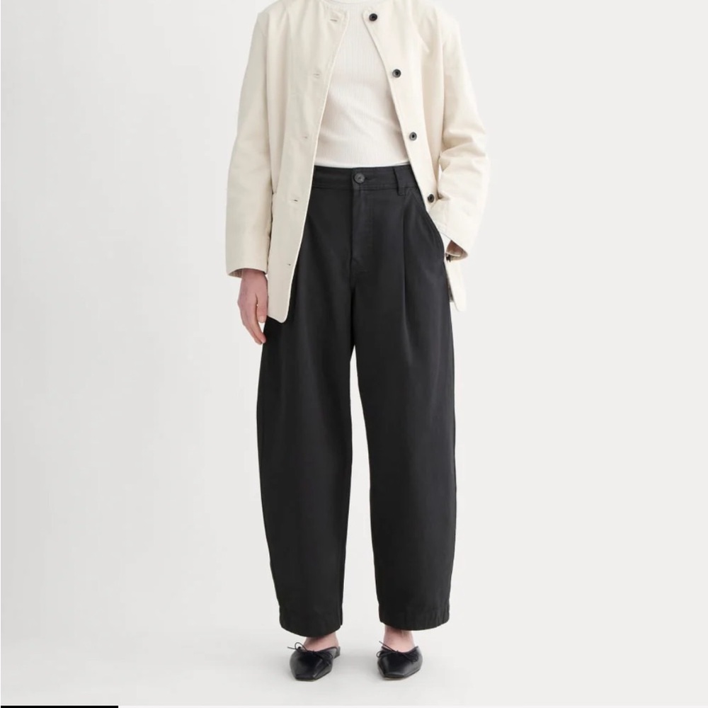 Everlane Women's Gray Chinos